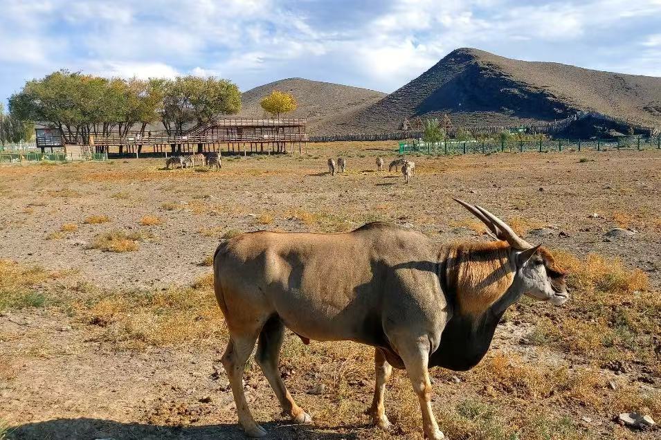 Tianshan Wildlife Park